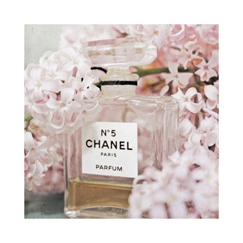 flowers and chanel perfume tumblr|chanel perfume sale.